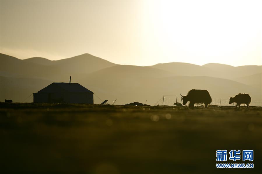 (社會(huì))(5)青海稱(chēng)多:生態(tài)畜牧業(yè)奏響牧歌