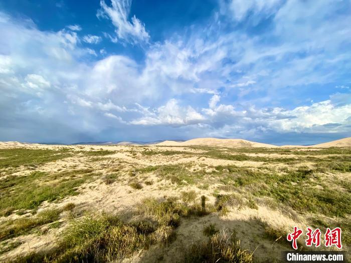 圖為關(guān)停四年后的沙島景區(qū)現(xiàn)狀?！±罱瓕?攝