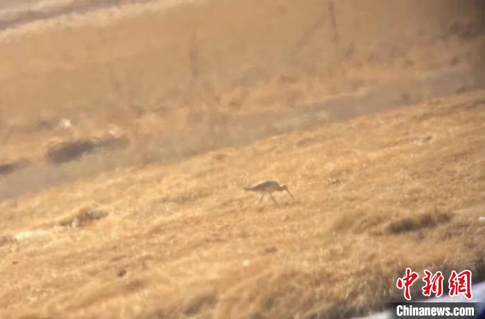 隆寶國家級(jí)自然保護(hù)區(qū)鳥類名錄增加到134種