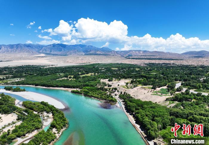 航拍貴德縣黃河岸畔綠意盎然。　馬銘言 攝