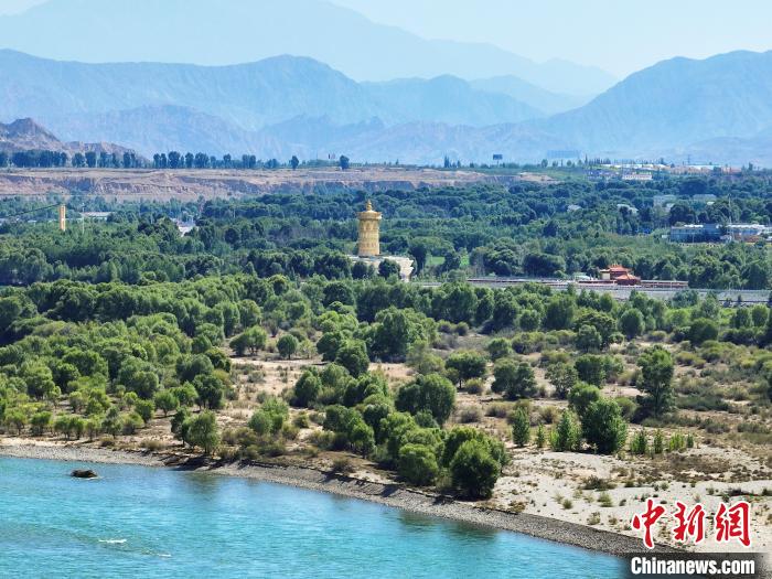 航拍貴德縣黃河岸畔綠意盎然?！●R銘言 攝