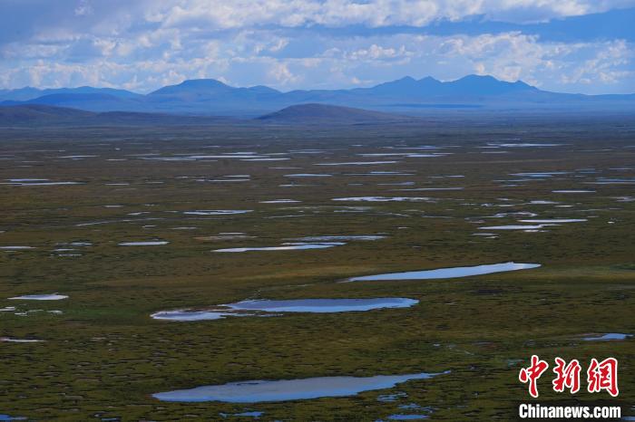 圖為查旦濕地?！●R銘言 攝