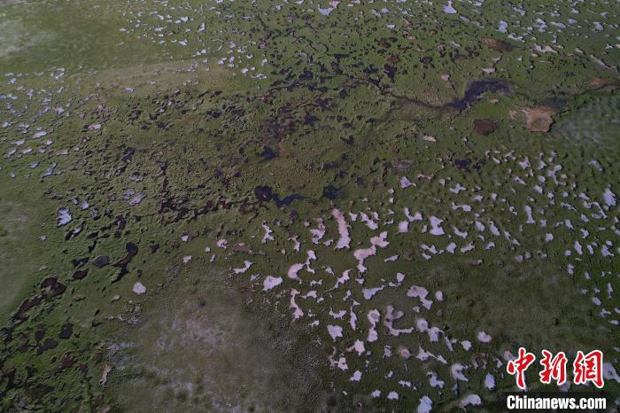 航拍查旦濕地?！●R銘言 攝