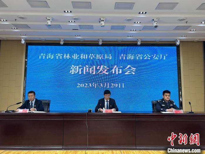 青海去年占用林地、草地準(zhǔn)予許可件同比實現(xiàn)“雙減”