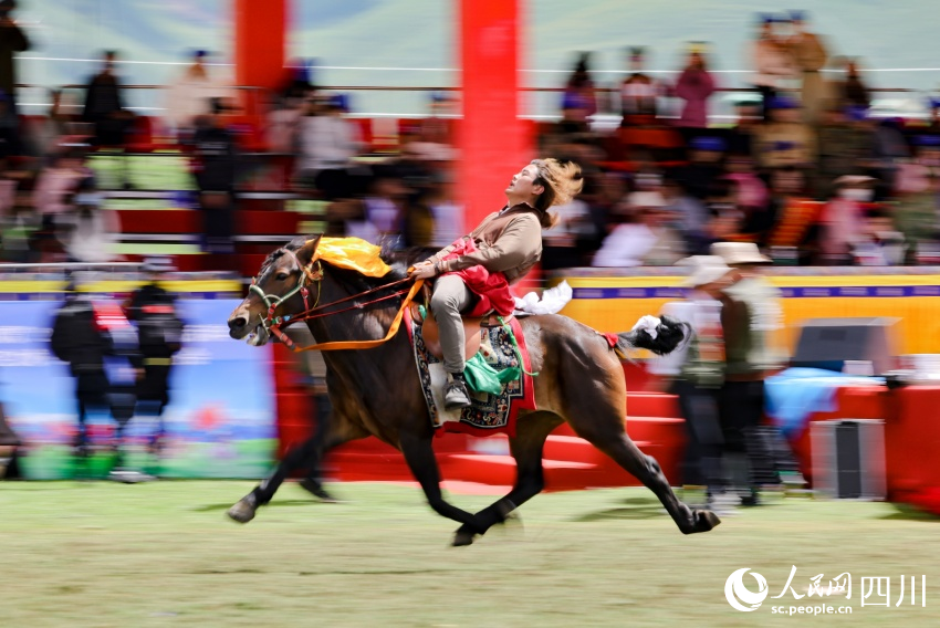 馬術(shù)表演現(xiàn)場。洛絨尼瑪攝