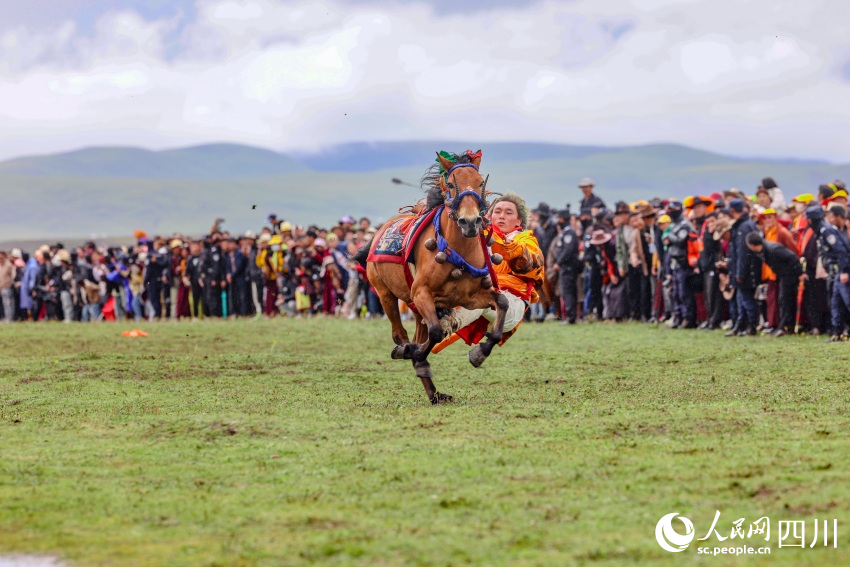 馬術(shù)表演現(xiàn)場。洛絨尼瑪攝