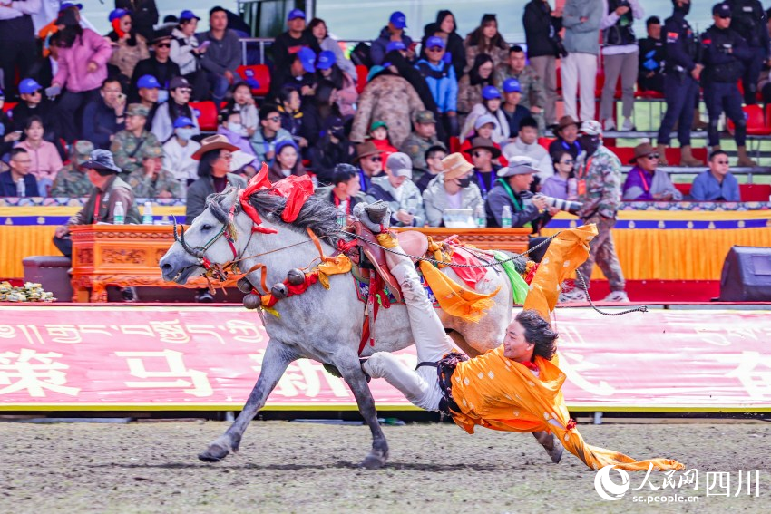 馬術(shù)表演現(xiàn)場。洛絨尼瑪攝