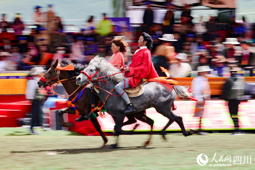 馬術(shù)表演現(xiàn)場。洛絨尼瑪攝