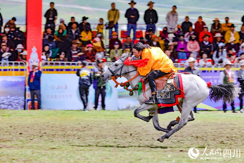 馬術(shù)表演現(xiàn)場。洛絨尼瑪攝