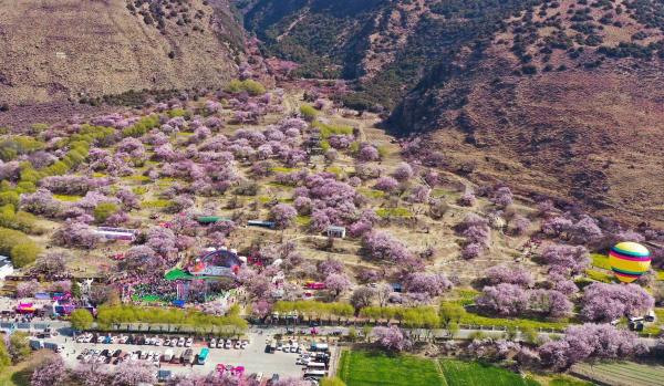世外桃源！一組圖告訴你，西藏林芝桃花能有多美