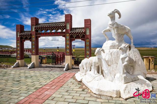 【重走天路看變遷】飛越高原美肺 海拔4700米的聶榮濕地公園