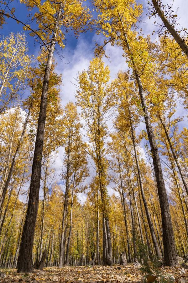 跟我，踏上最美“景觀大道”