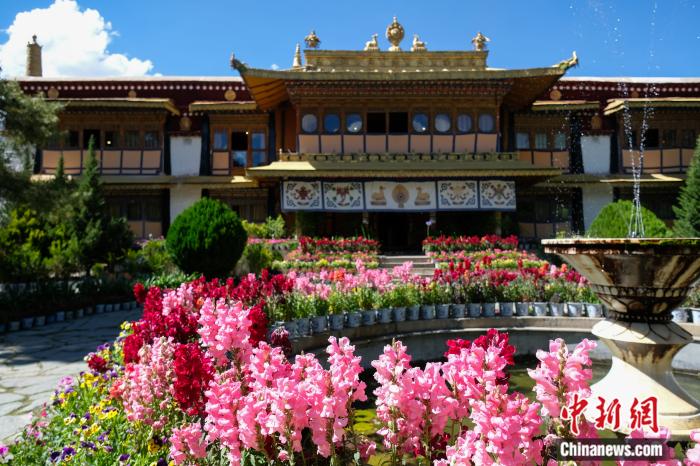 圖為夏日羅布林卡(資料圖)。趙朗攝