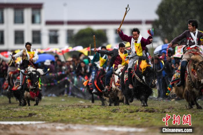 圖為拉薩郊縣的賽馬節(jié)(資料圖)。何蓬磊 攝