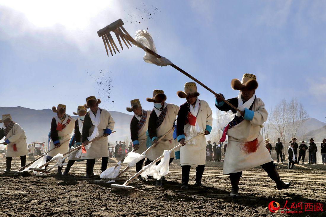 當(dāng)?shù)卮迕裆碇?jié)日盛裝，舉行春耕儀式。人民網(wǎng) 次仁羅布攝