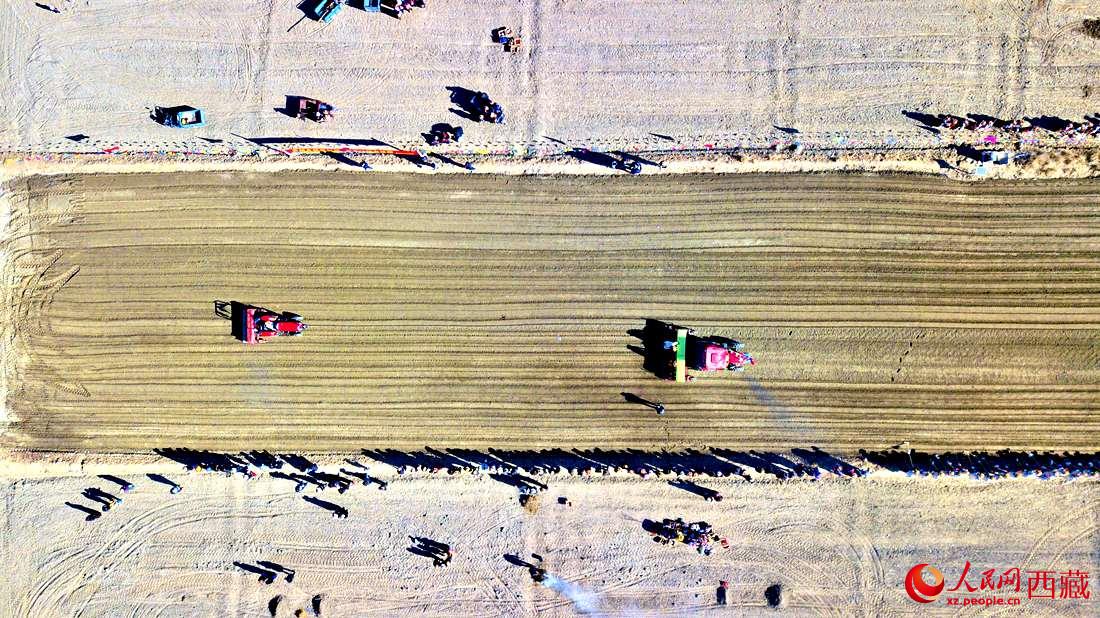 山南市扎囊縣扎其鄉(xiāng)孟卡榮村迎來(lái)春耕第一犁。人民網(wǎng) 次仁羅布攝