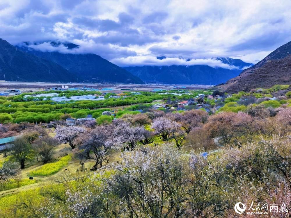 桃花從中的“童話小鎮(zhèn)”。人民網(wǎng) 李海霞攝