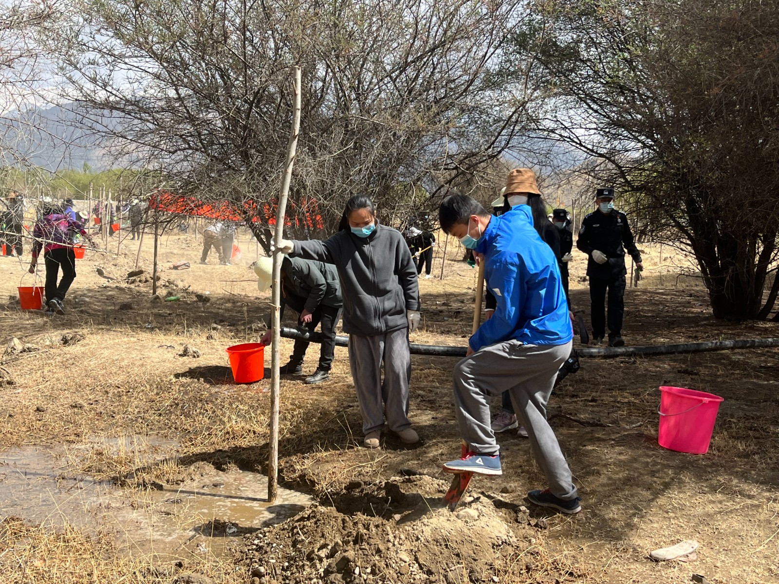 植樹現(xiàn)場，大家分工明確，配合默契(2000565)-20220420090303.jpg