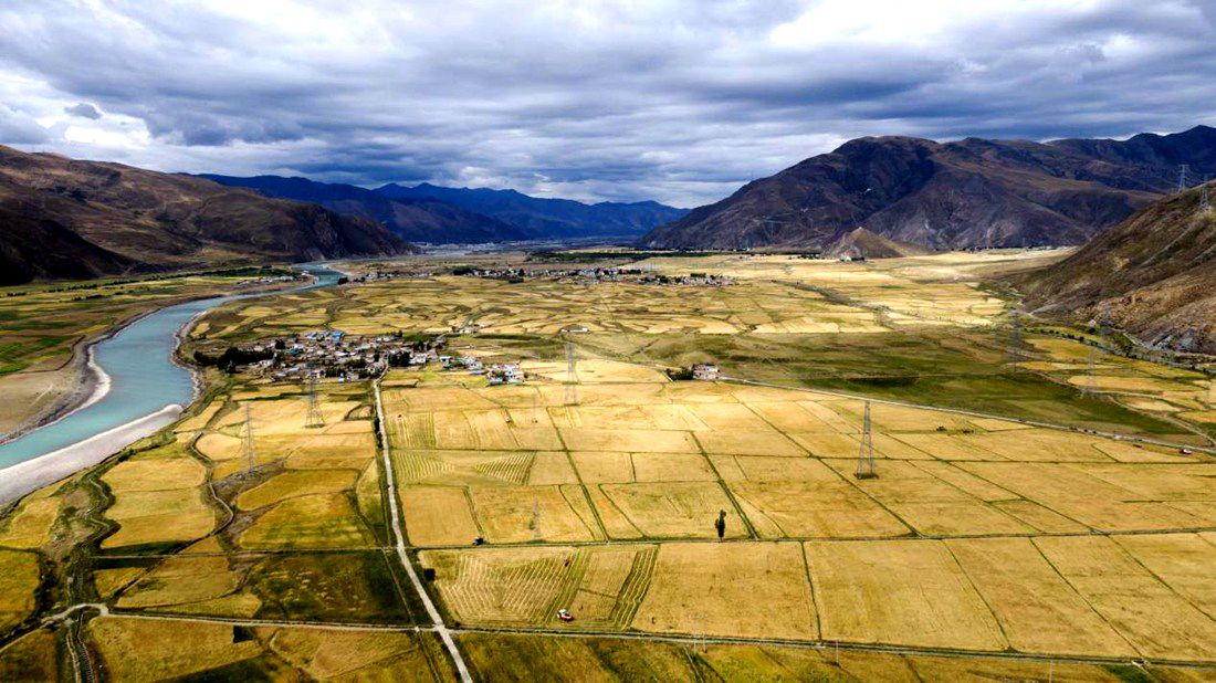 等待豐收的田野。洛克攝