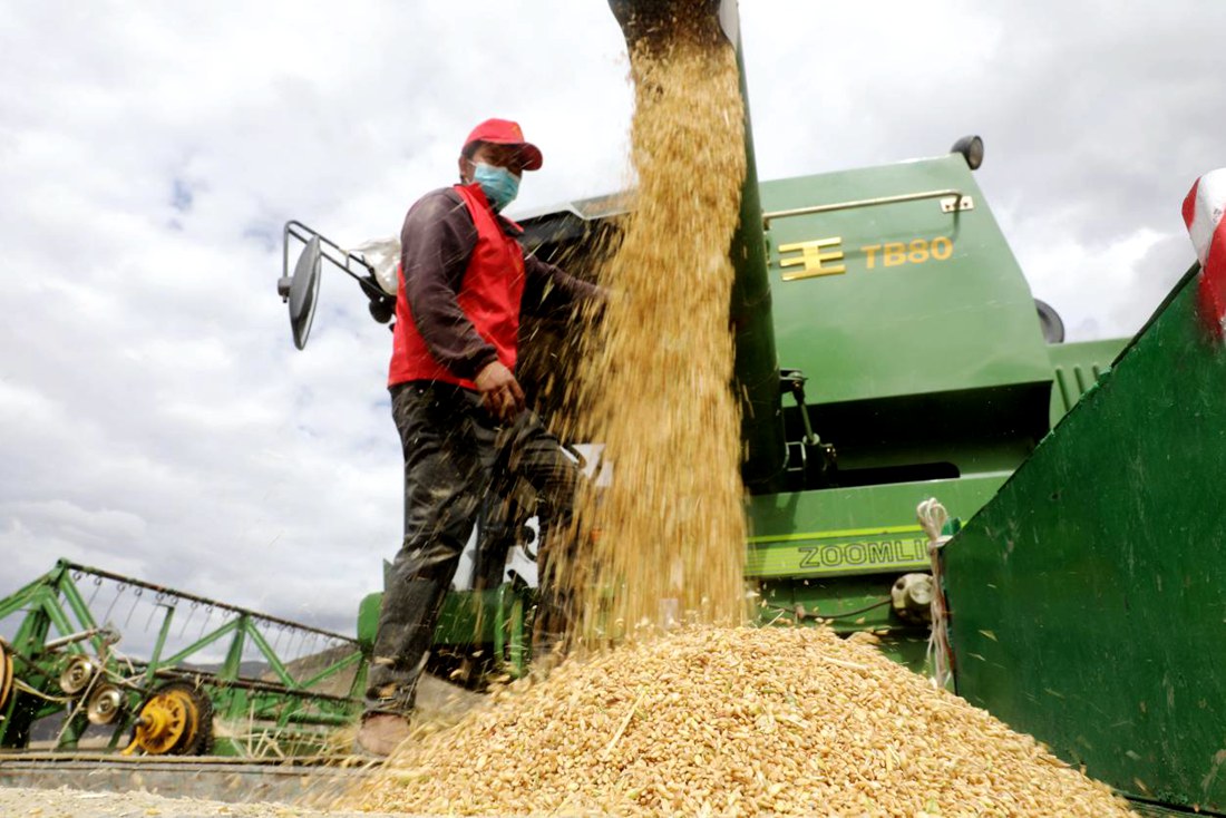 顆粒歸倉(cāng)。洛克攝