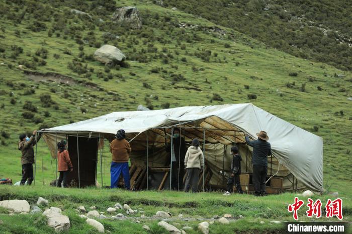 圖為牧民們在秋季牧場搭建帳篷。　洛克 攝