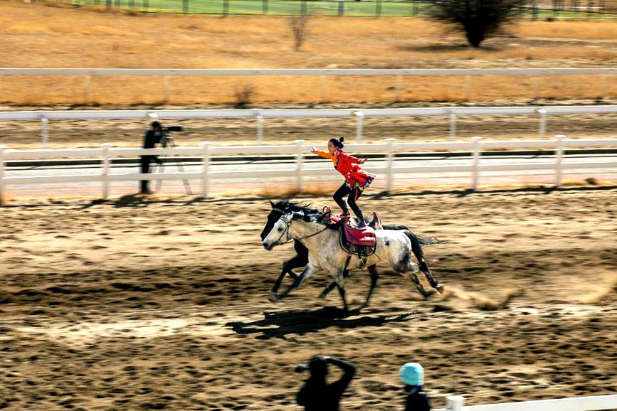 藏歷新年，精彩的馬術(shù)表演。張靜攝