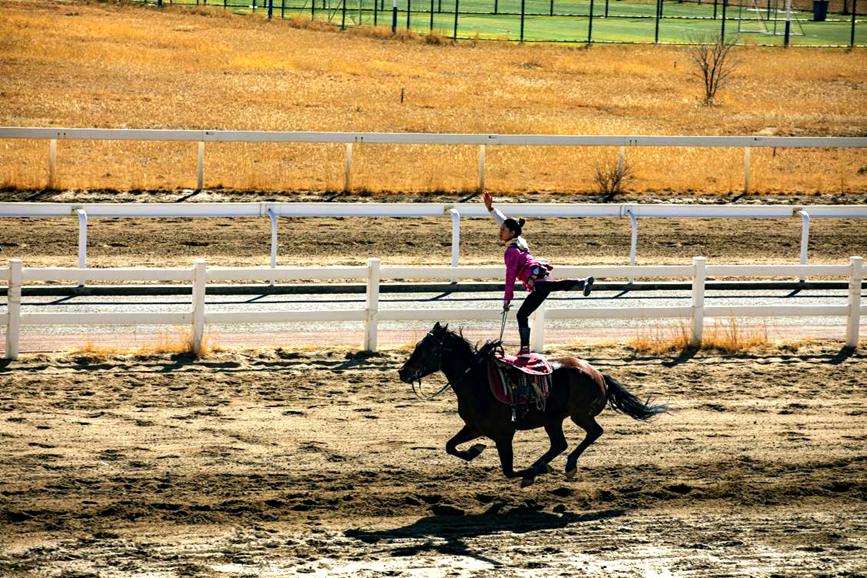 藏歷新年，精彩的馬術(shù)表演。張靜攝