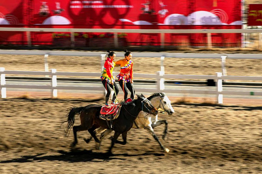 藏歷新年，精彩的馬術(shù)表演。張靜攝