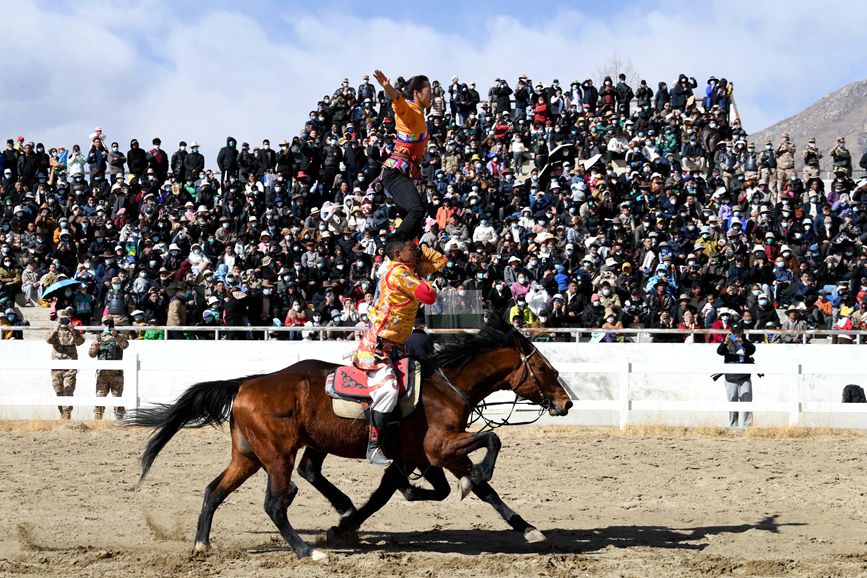 藏歷新年，精彩的馬術(shù)表演。潘多攝