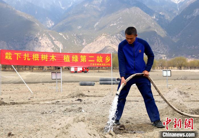 林芝市巴宜區(qū)森林消防中隊志愿服務(wù)隊澆水灌溉。　西繞拉翁 攝
