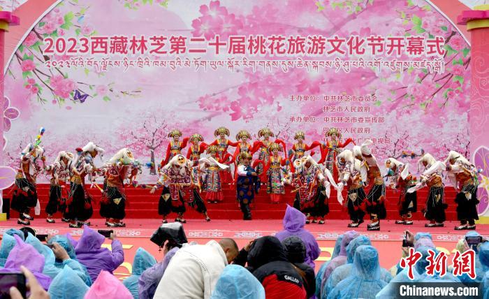 3月28日，西藏林芝第二十屆桃花旅游文化節(jié)開(kāi)幕式上的文藝表演?！±盍?攝