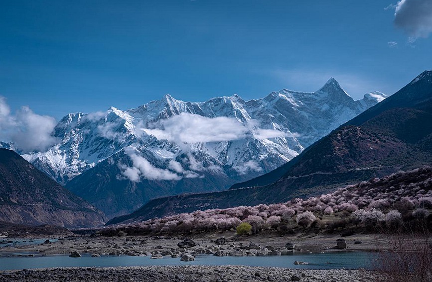雪山下的桃花。張靜攝