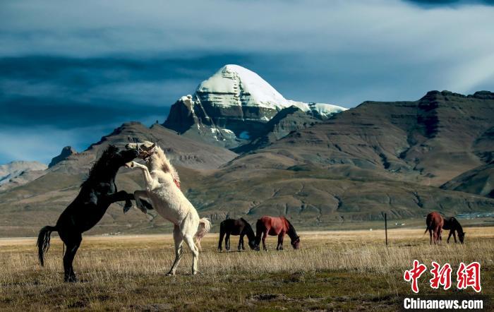 圖為參展攝影師拍攝的西藏阿里岡仁波齊?！≈鬓k方 供圖