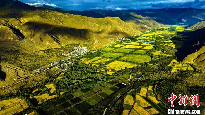 圖為山南雍布拉康附近農(nóng)田。　張巍 攝