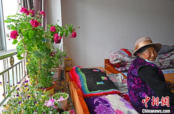 圖為曲松縣特困人員集中供養(yǎng)中心老人德吉卓嘎與她的花。　趙朗 攝