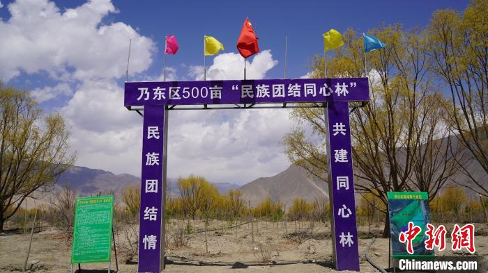 圖為“民族團結(jié)同心林”項目?！∧藮|融媒供圖