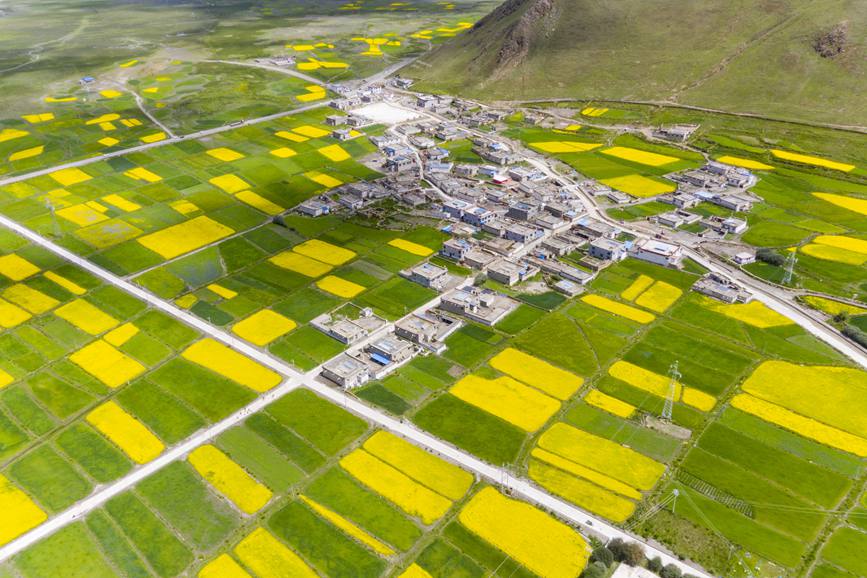 航拍道布龍村，依山傍水，阡陌縱橫。