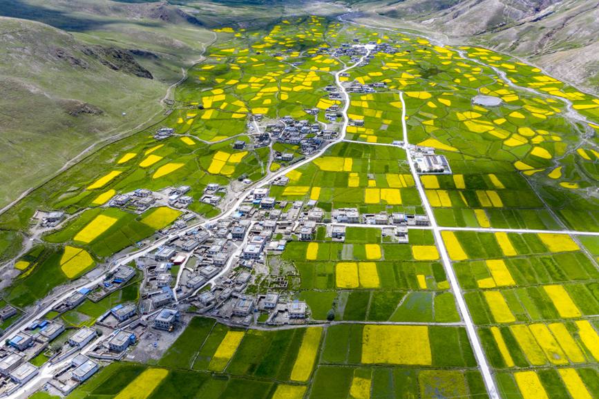 航拍道布龍村，依山傍水，阡陌縱橫。