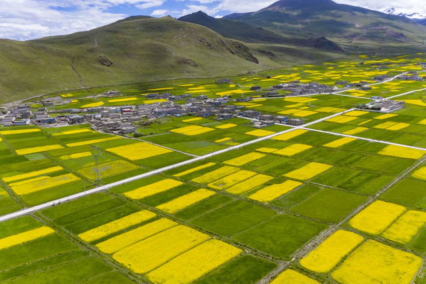 航拍道布龍村，依山傍水，阡陌縱橫。