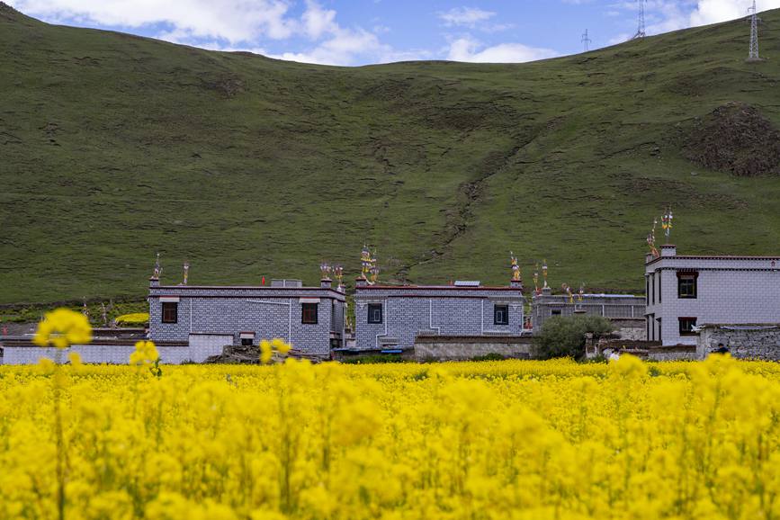 環(huán)境優(yōu)美的道布龍村一角。