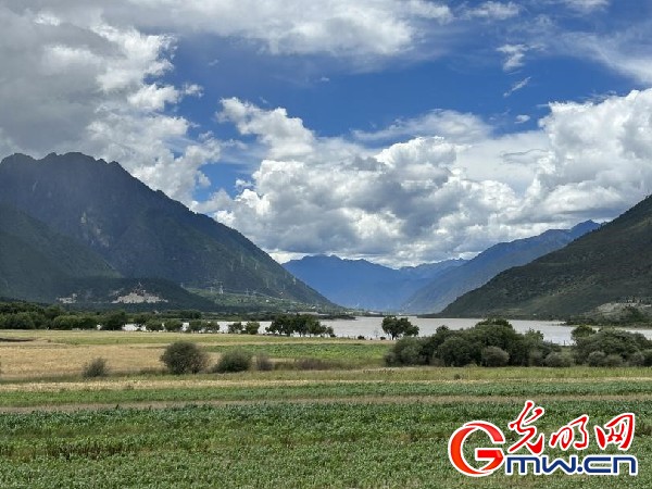 我們的家園｜林芝米林縣：河長護藥洲，碧水映花谷