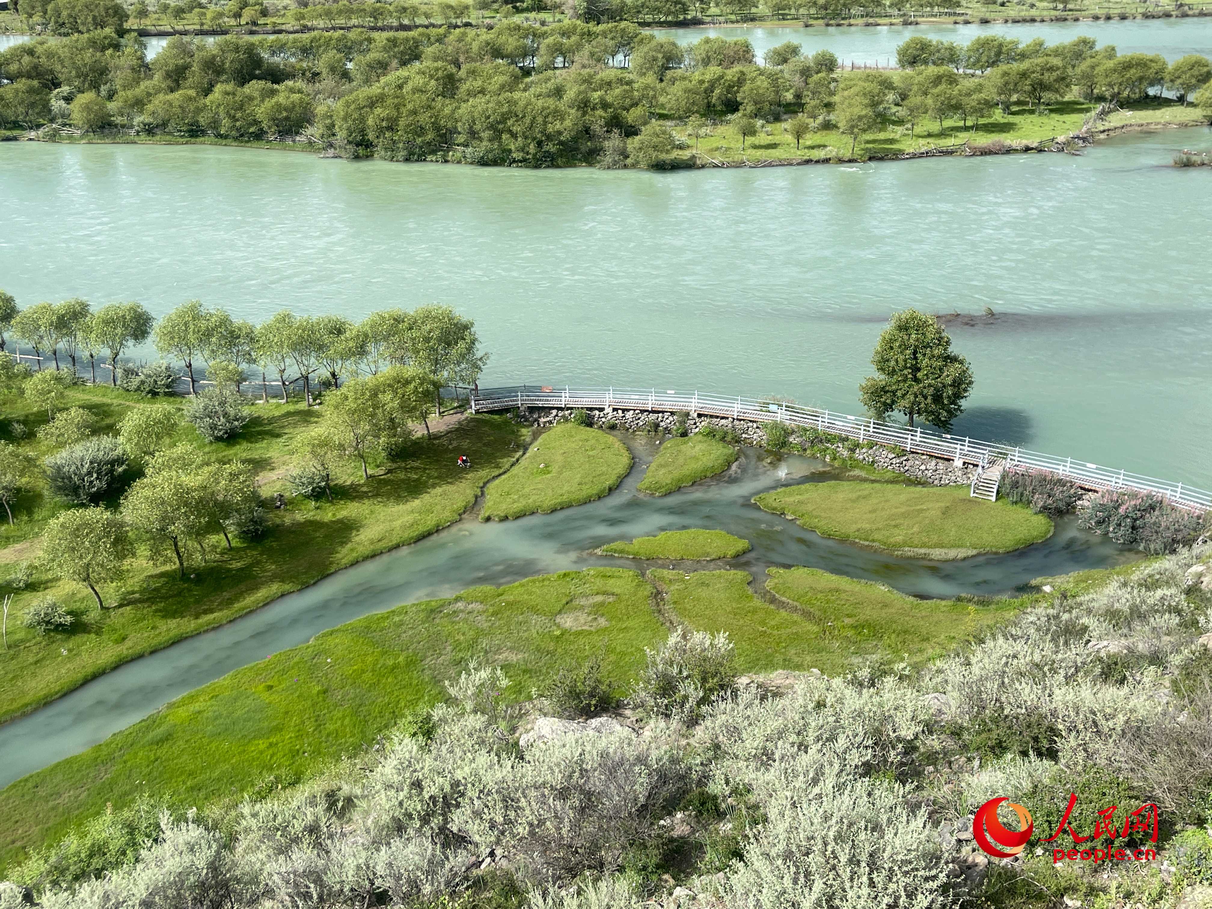 夏日的雅尼國家濕地公園生機盎然，如詩如畫。人民網(wǎng) 周靜圓攝