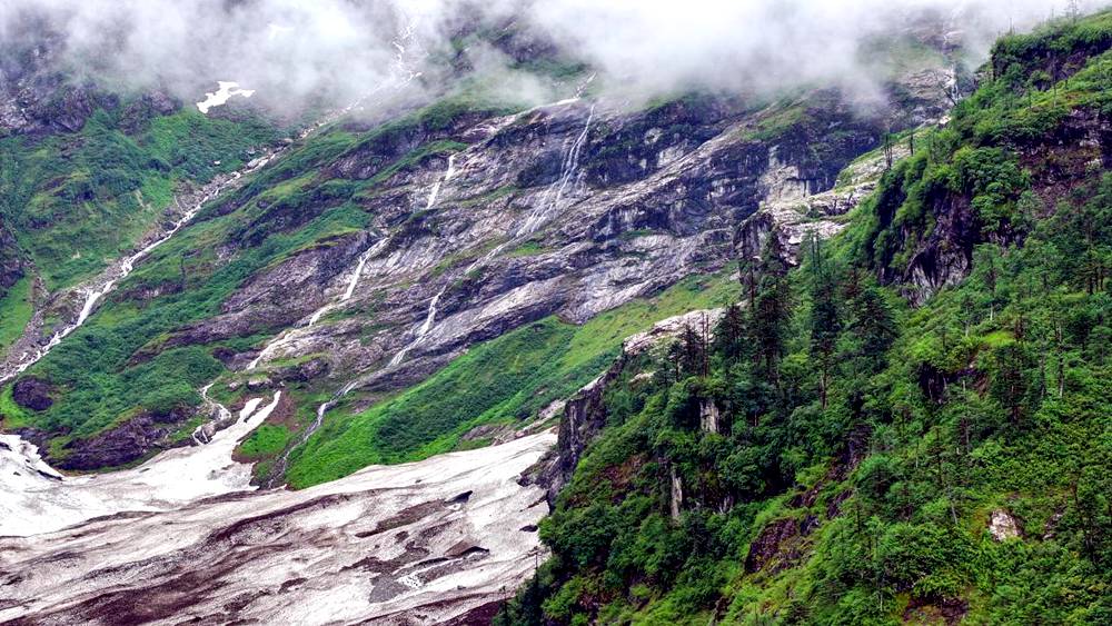 磅礴的河流滋養(yǎng)著山間草木。張澤坤攝