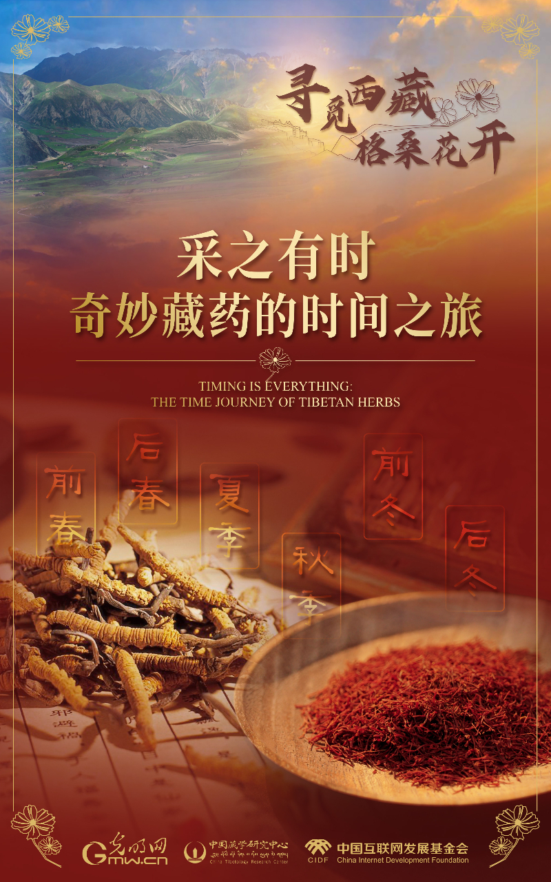 【尋覓西藏·格?；ㄩ_】采之有時(shí)：奇妙藏藥的時(shí)間之旅