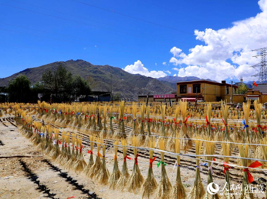 幸福生活曬出來(lái)。人民網(wǎng) 李海霞攝