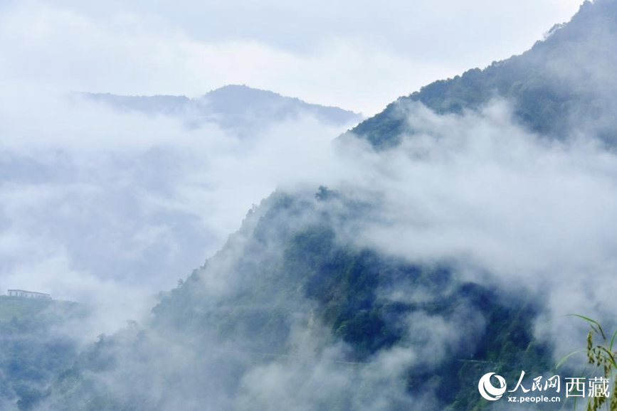 秋日里的墨脫云海。人民網(wǎng) 李海霞攝