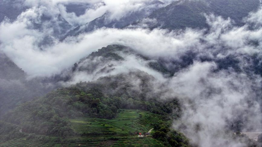 秋日里的墨脫云海。張澤坤攝
