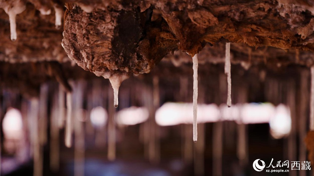 自然滲下的鹽柱結(jié)晶。人民網(wǎng)記者 次仁羅布攝