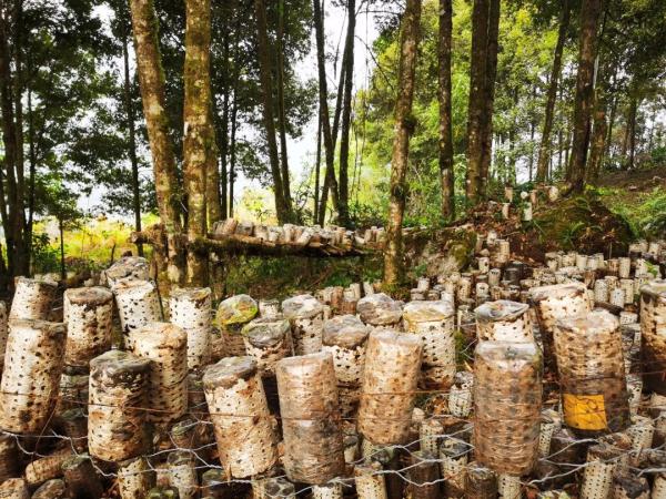 幾代建設(shè)者，歷經(jīng)半個(gè)多世紀(jì)完成！這是一條怎樣的公路？