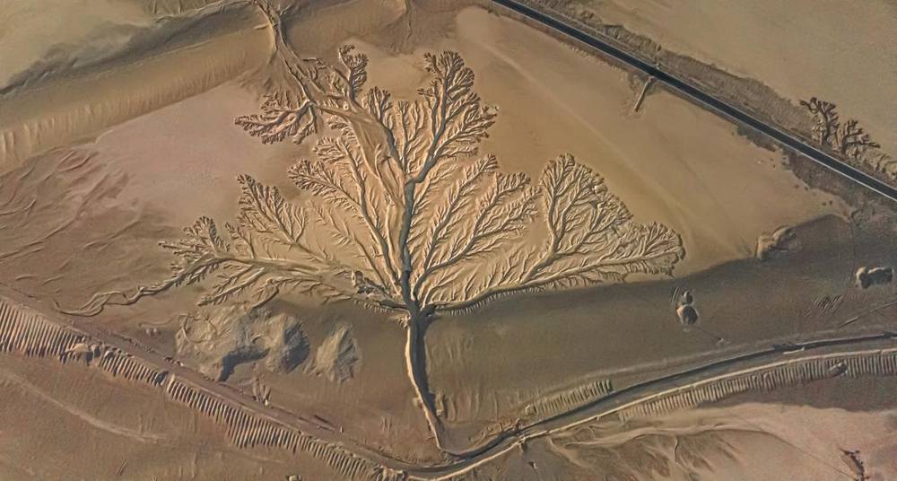 壯觀的“大地之樹”。邊巴多吉攝